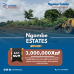 Buying A Piece Of Cameroon Creating Wealth Through Land Banking.